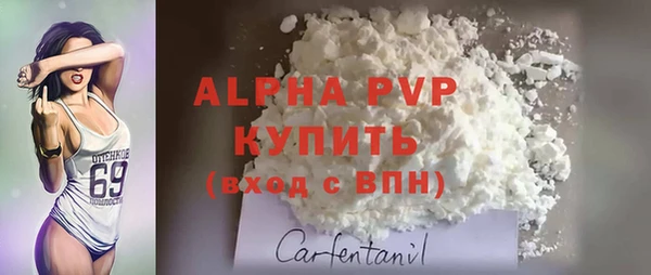 spice Гусев