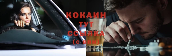 spice Гусев