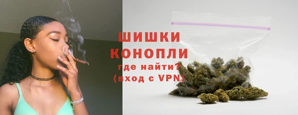 spice Гусев
