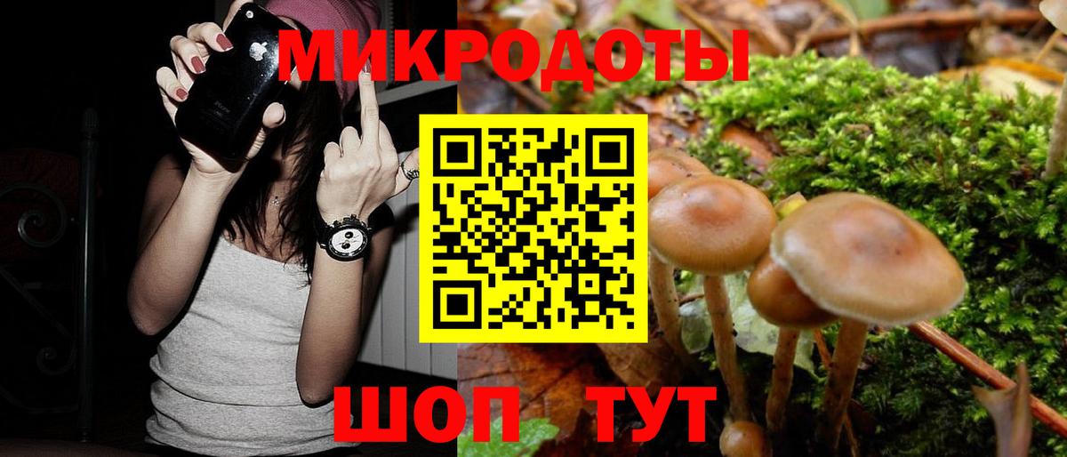 где найти   Вход с VPN  Челябинск  Псилоцибиновые грибы прущие грибы  Галлюциногенные грибы Psilocybe 